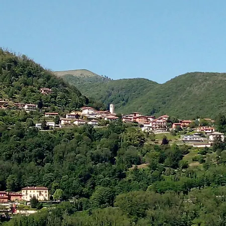 Grigioperla Tavernerio